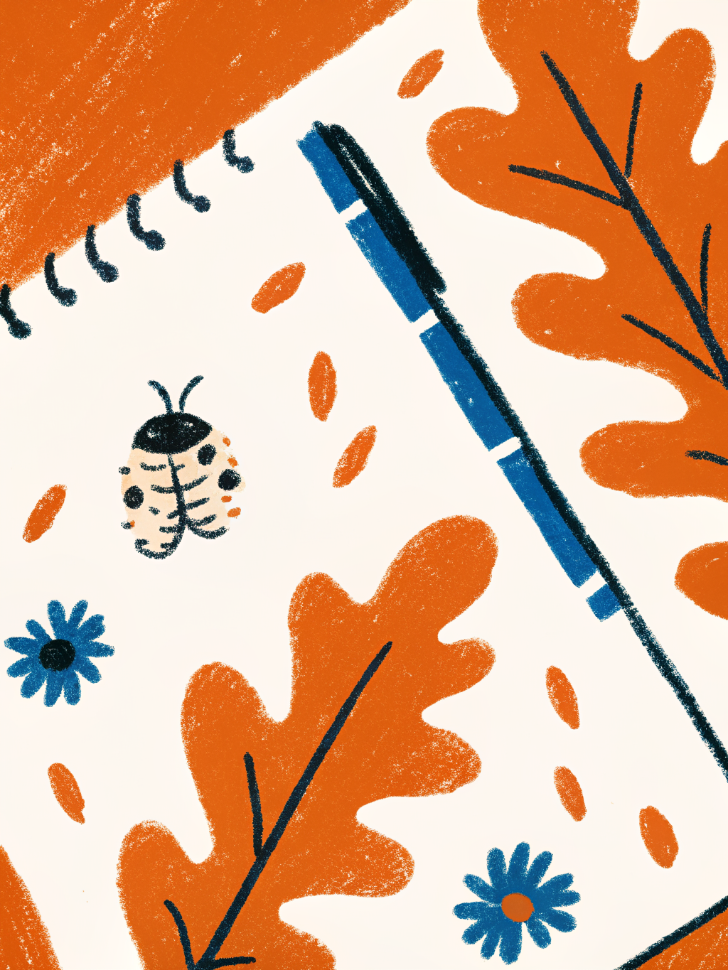 Direction A — The Specimen Study: naturalist field notebook illustration